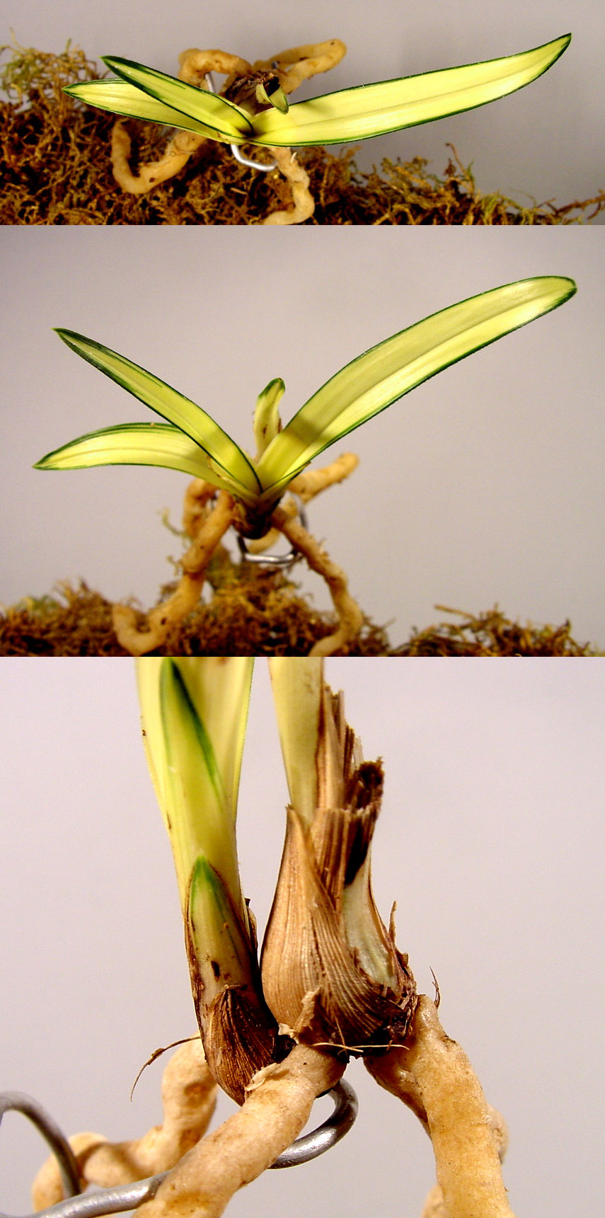 ������ ū������ �� �� �ֽ��ϴ�.