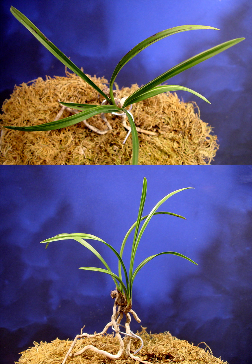 ������ ū������ �� �� �ֽ��ϴ�.