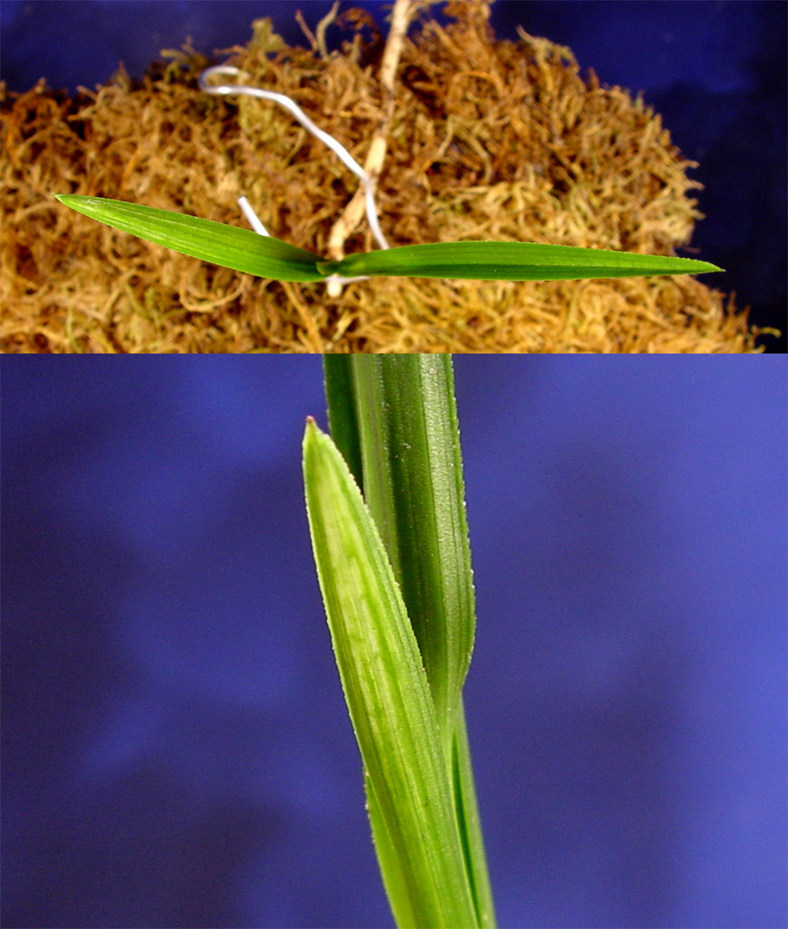 ������ ū������ �� �� �ֽ��ϴ�.