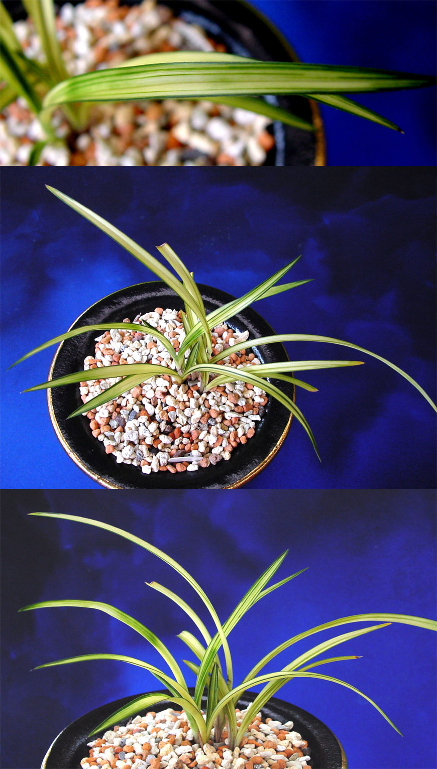 ������ ū������ �� �� �ֽ��ϴ�.