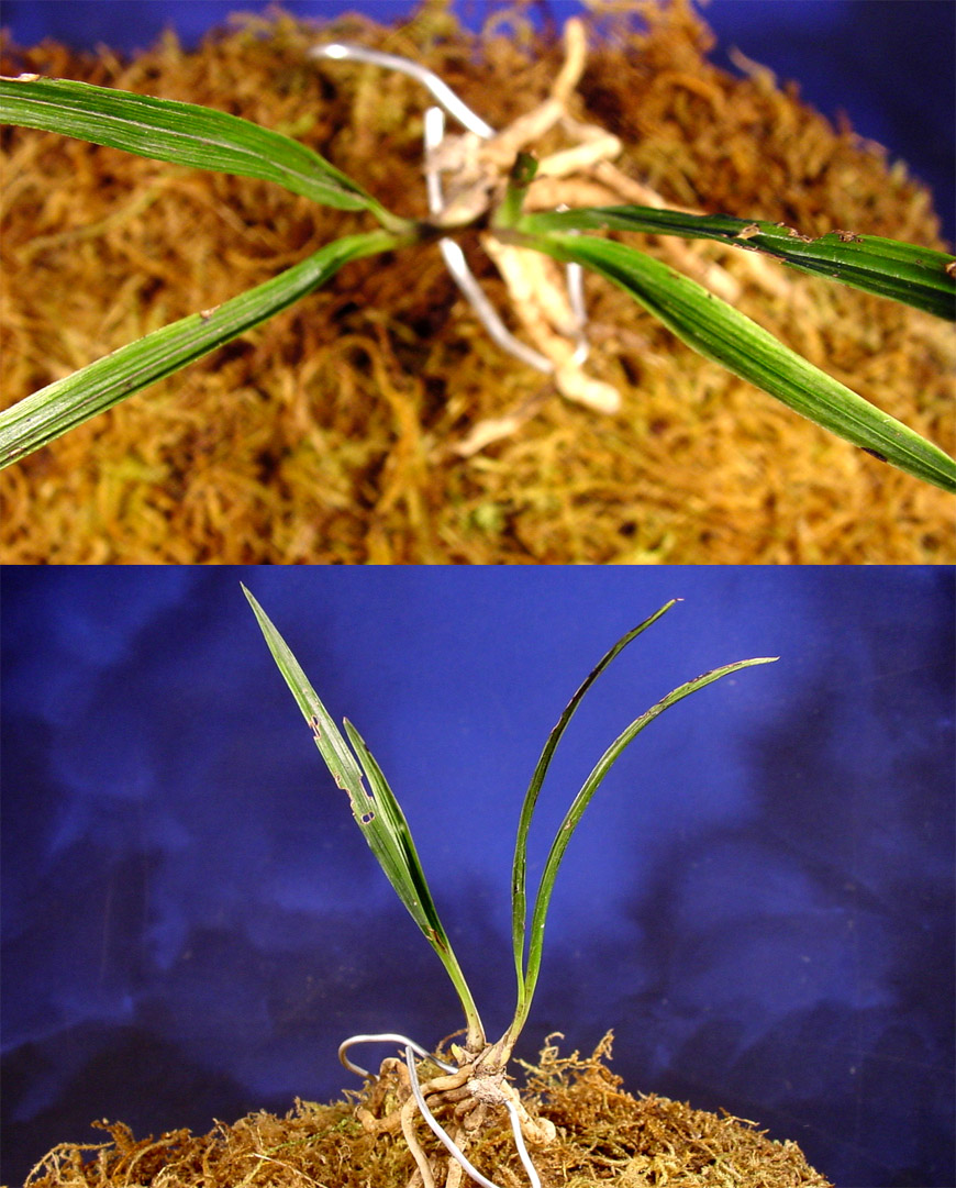 ������ ū������ �� �� �ֽ��ϴ�.