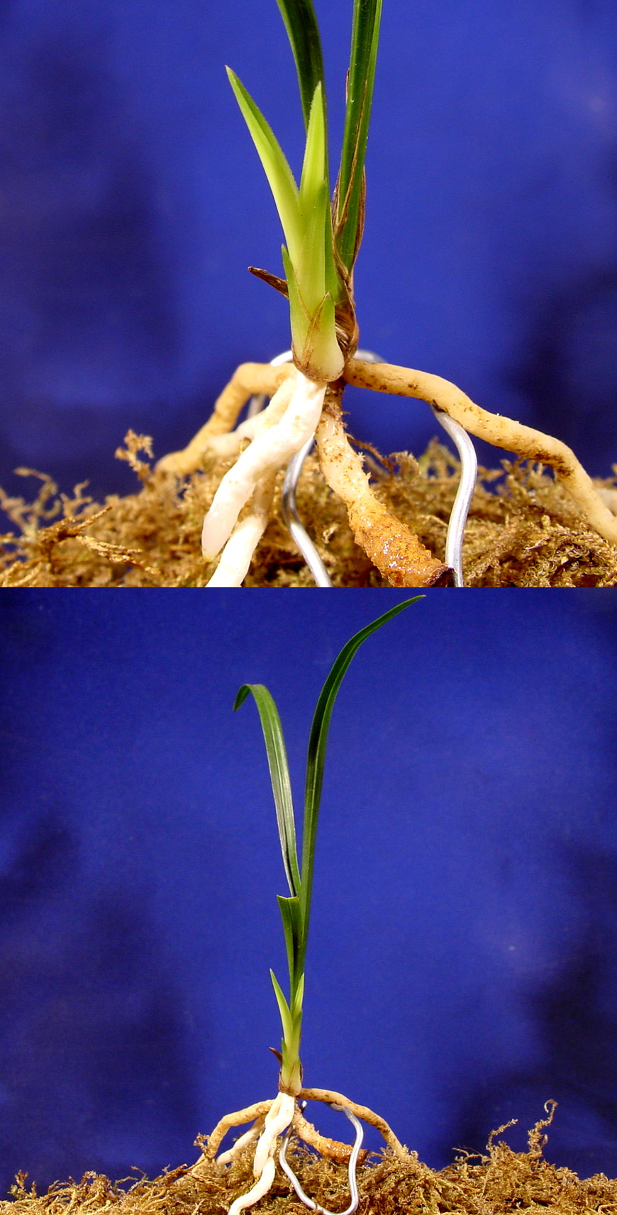 ������ ū������ �� �� �ֽ��ϴ�.