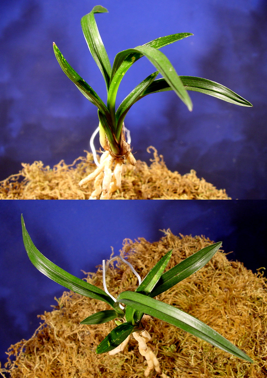 ������ ū������ �� �� �ֽ��ϴ�.