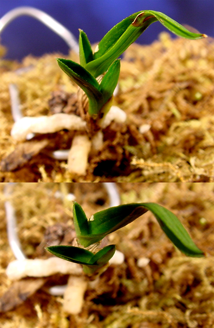 ������ ū������ �� �� �ֽ��ϴ�.