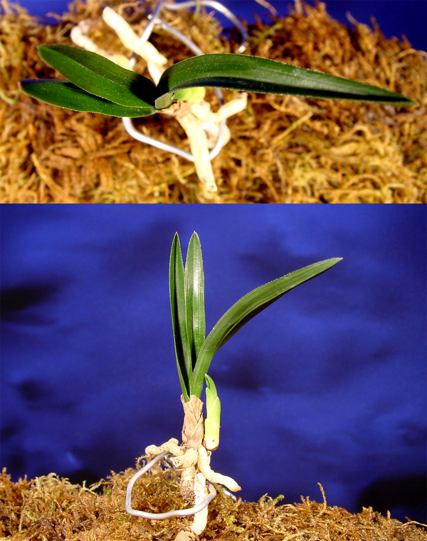 ������ ū������ �� �� �ֽ��ϴ�.