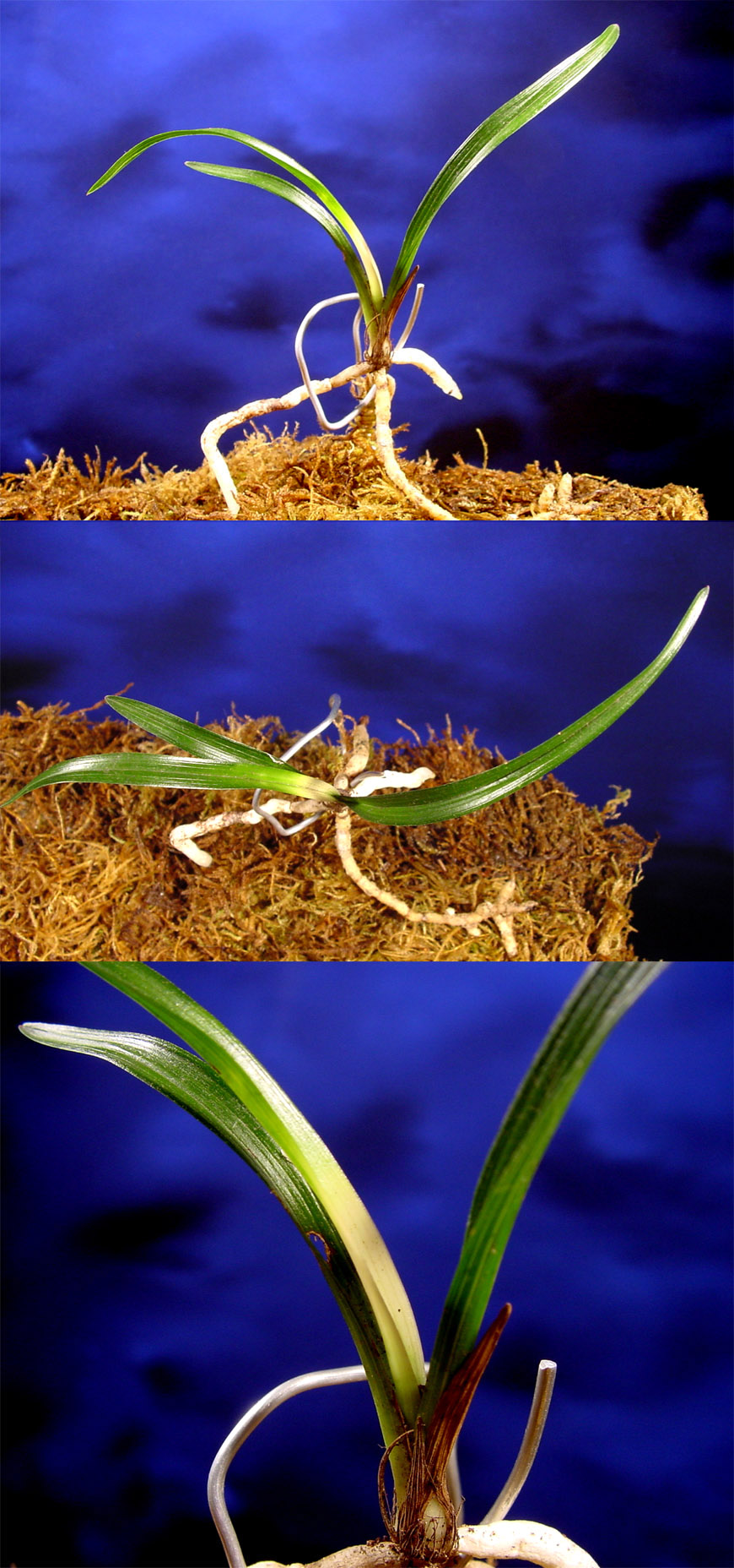 ������ ū������ �� �� �ֽ��ϴ�.