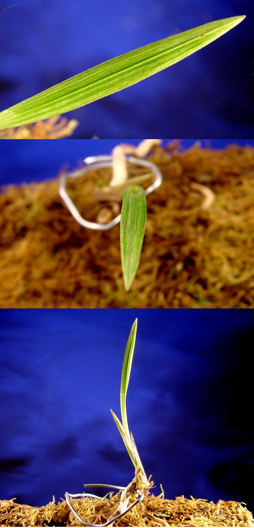 ������ ū������ �� �� �ֽ��ϴ�.