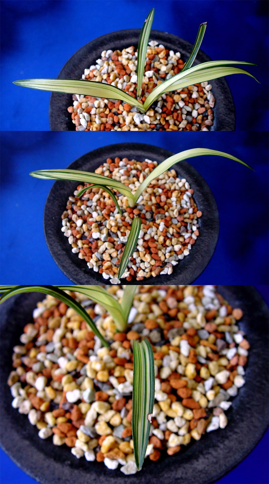 ������ ū������ �� �� �ֽ��ϴ�.