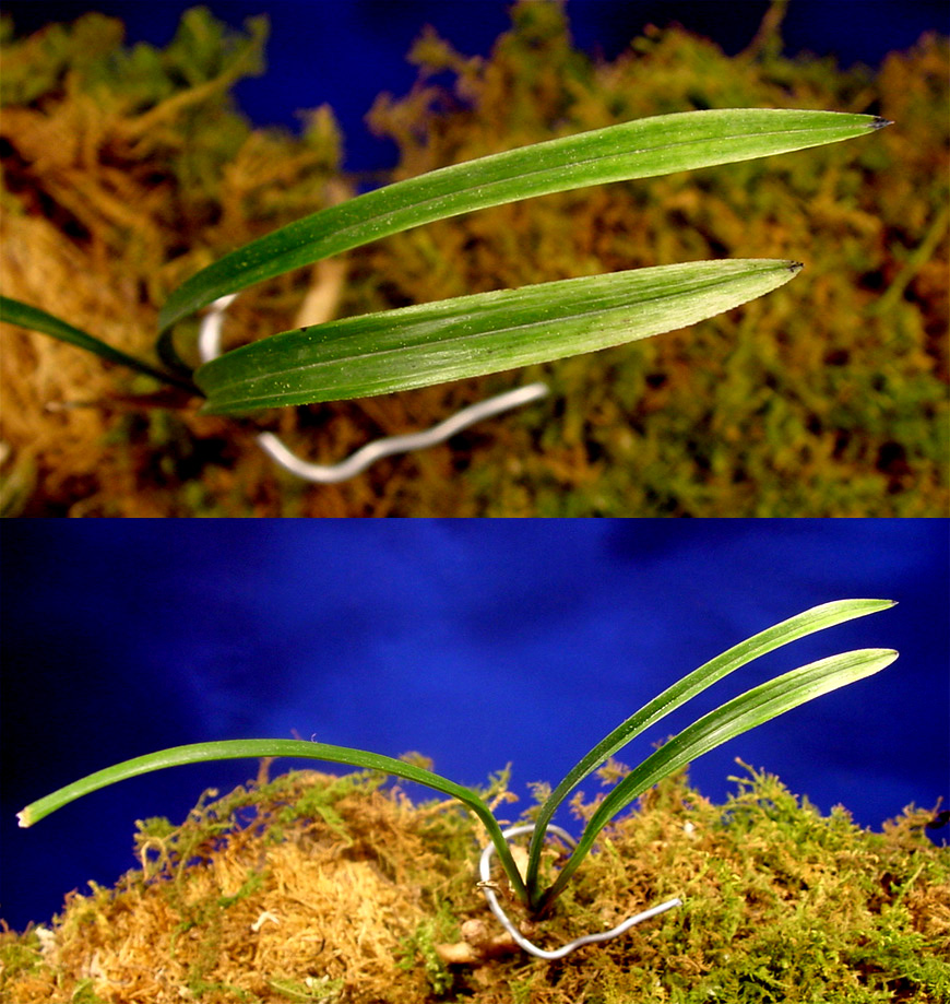 ������ ū������ �� �� �ֽ��ϴ�.