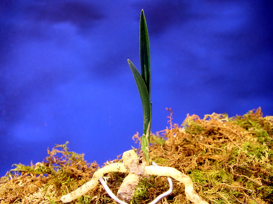 ������ ū������ �� �� �ֽ��ϴ�.