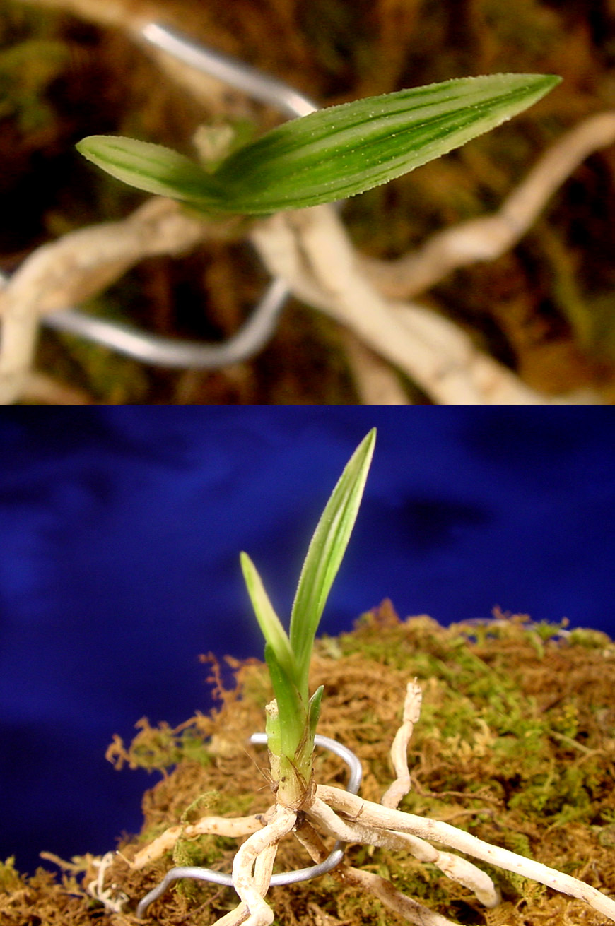 ������ ū������ �� �� �ֽ��ϴ�.