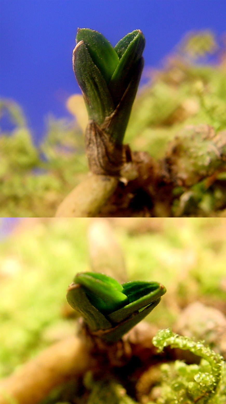 ������ ū������ �� �� �ֽ��ϴ�.