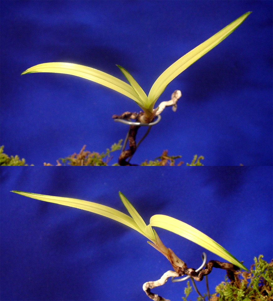 ������ ū������ �� �� �ֽ��ϴ�.