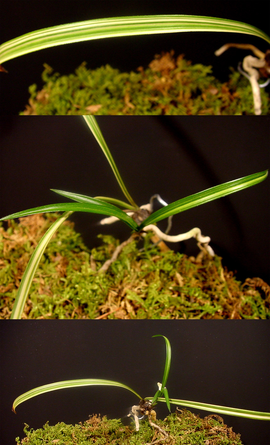 ������ ū������ �� �� �ֽ��ϴ�.