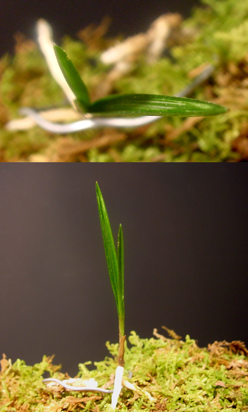 ������ ū������ �� �� �ֽ��ϴ�.