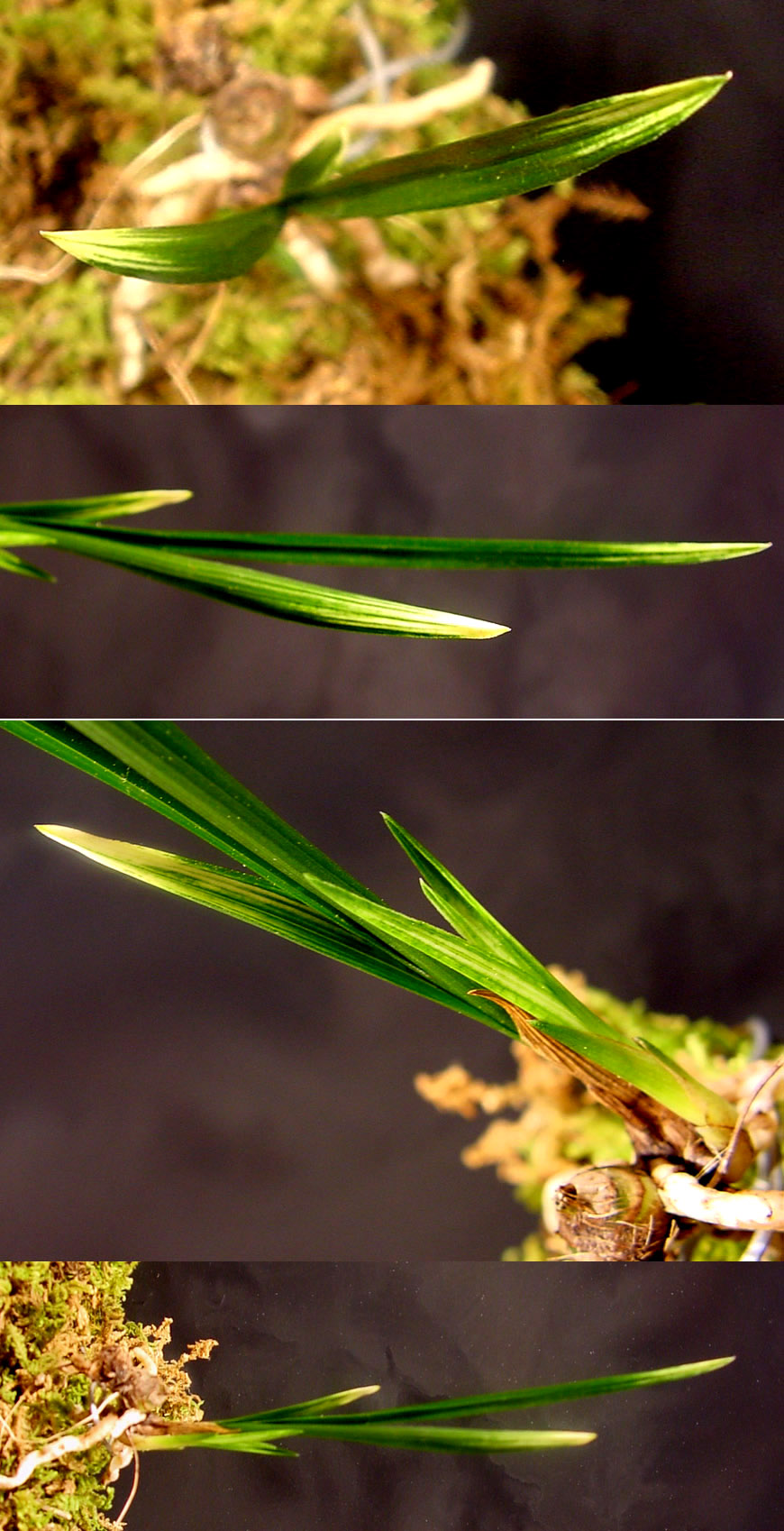 ������ ū������ �� �� �ֽ��ϴ�.