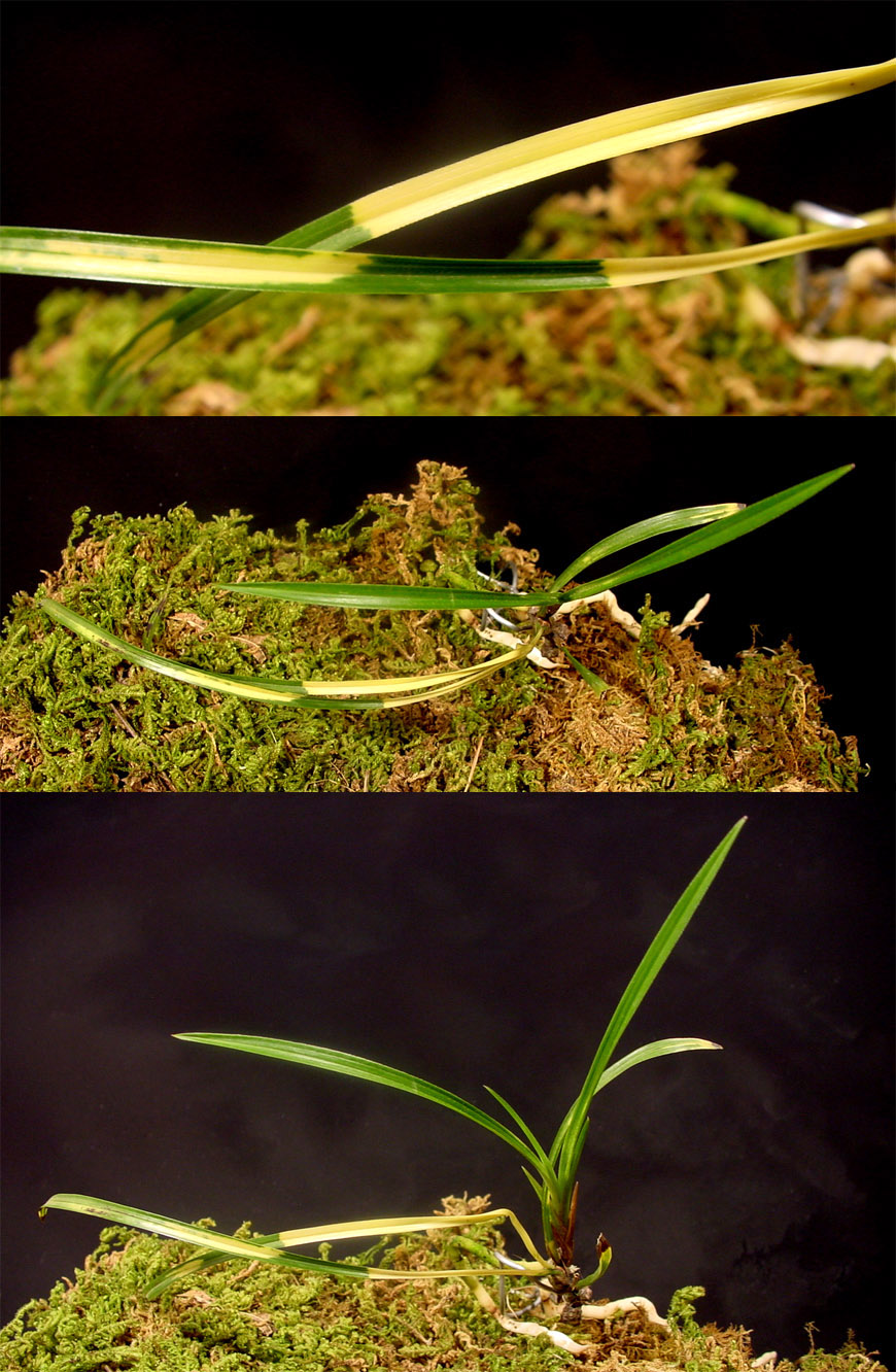 ������ ū������ �� �� �ֽ��ϴ�.