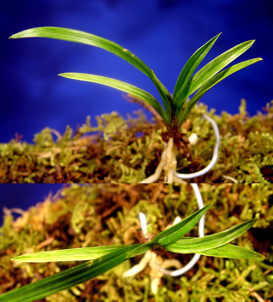 ������ ū������ �� �� �ֽ��ϴ�.