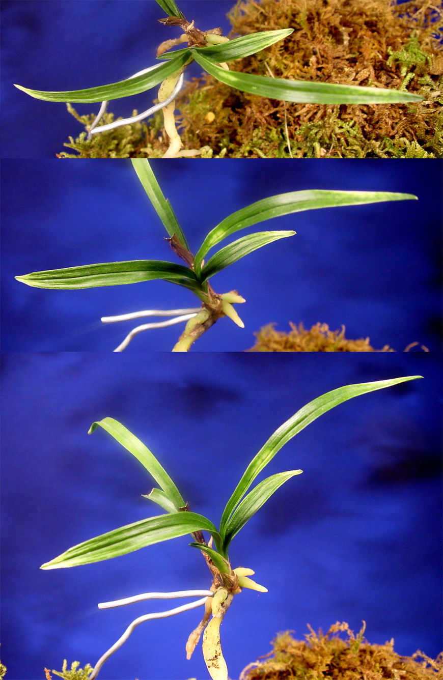 ������ ū������ �� �� �ֽ��ϴ�.