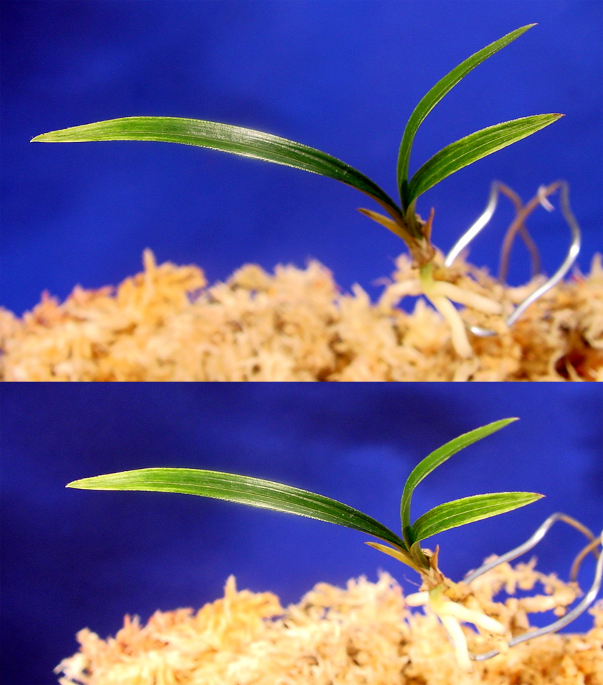 ������ ū������ �� �� �ֽ��ϴ�.