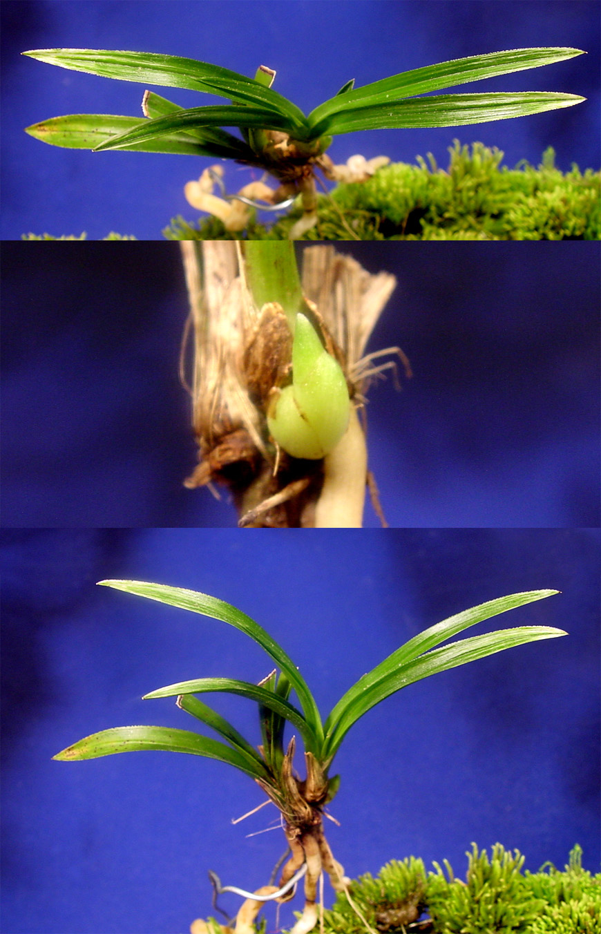 ������ ū������ �� �� �ֽ��ϴ�.