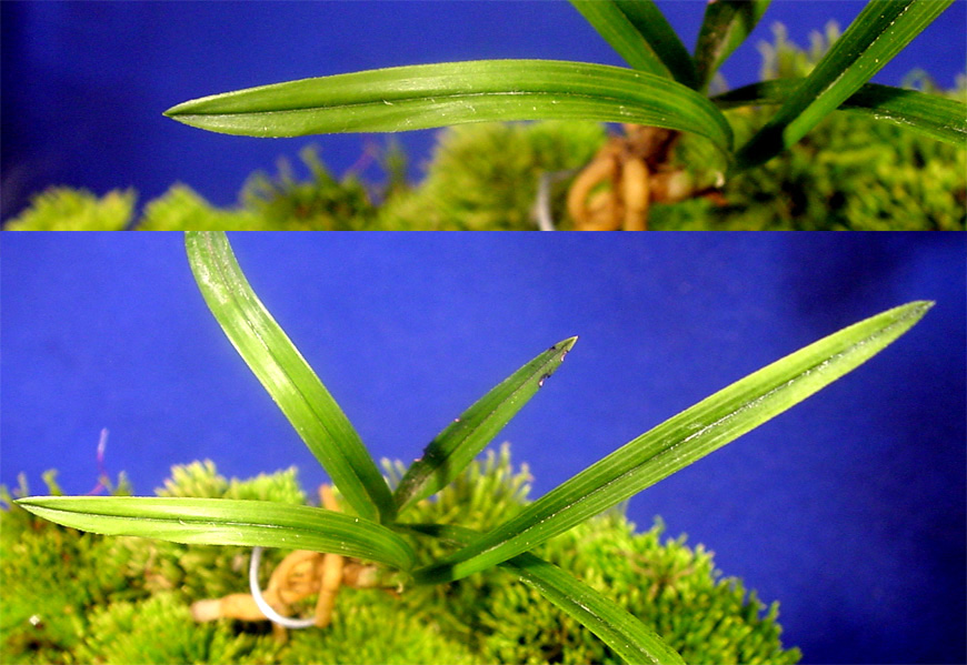 ������ ū������ �� �� �ֽ��ϴ�.