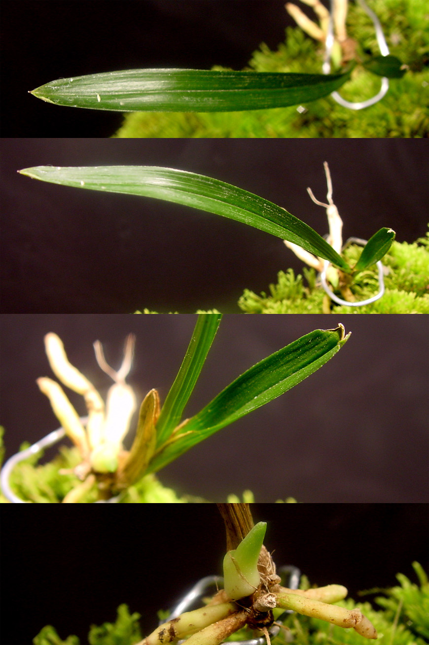 ������ ū������ �� �� �ֽ��ϴ�.