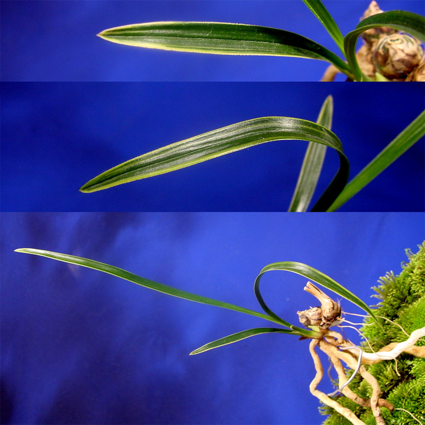 ������ ū������ �� �� �ֽ��ϴ�.