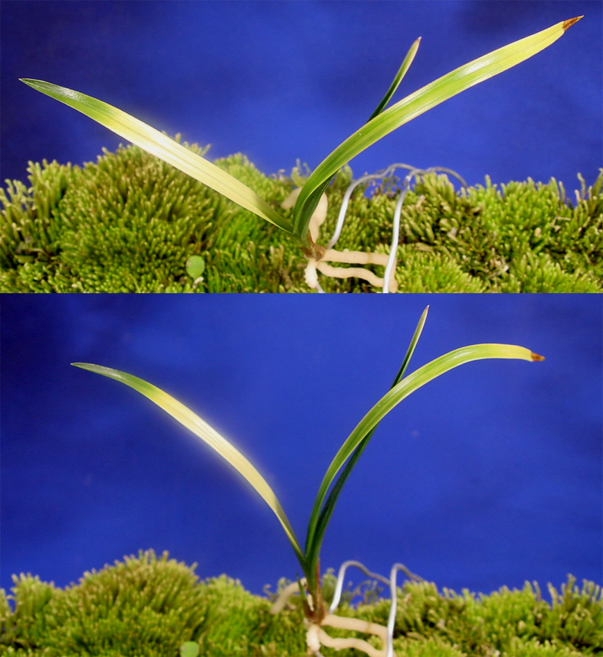 ������ ū������ �� �� �ֽ��ϴ�.