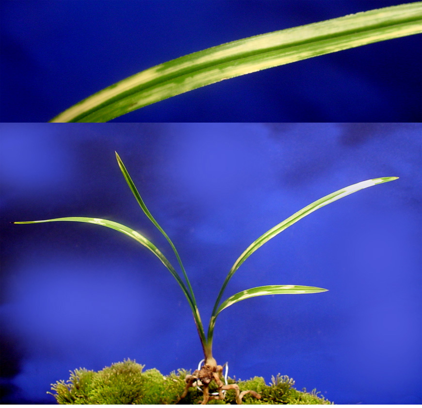 ������ ū������ �� �� �ֽ��ϴ�.