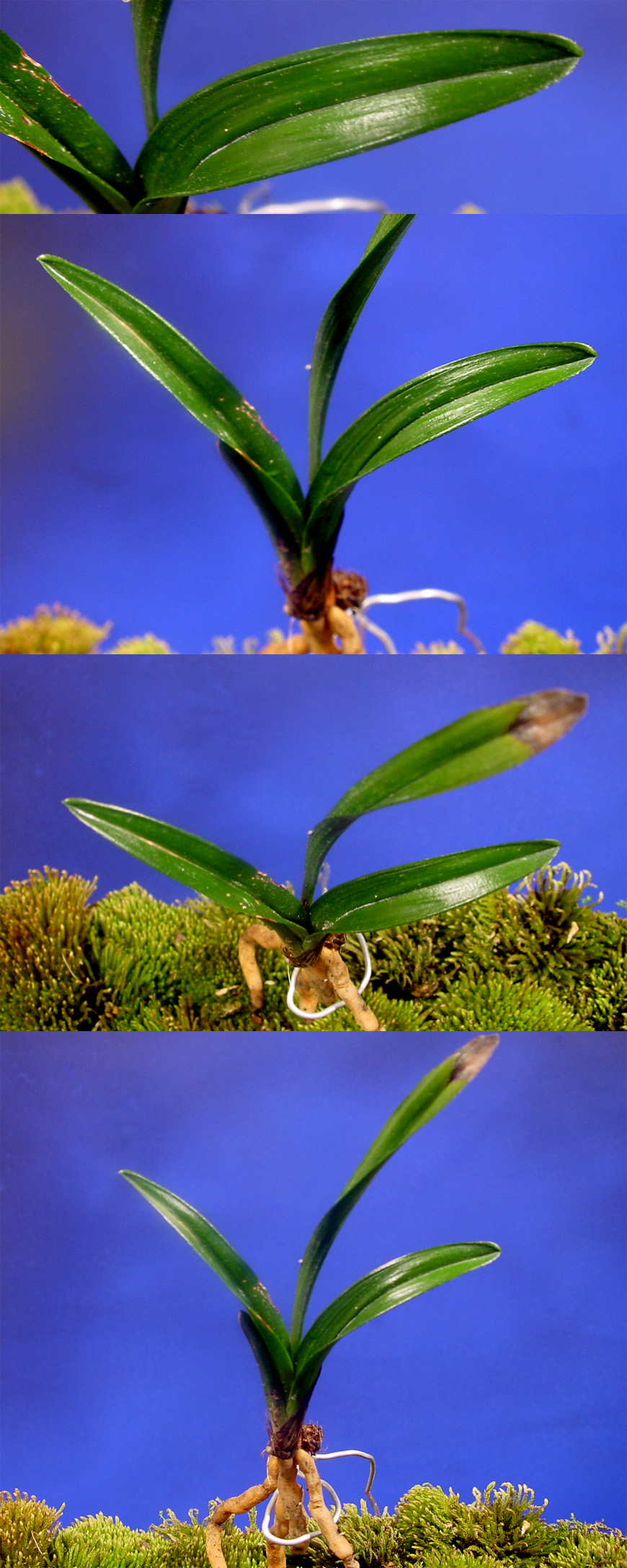 ������ ū������ �� �� �ֽ��ϴ�.