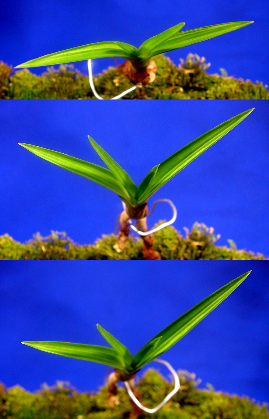 ������ ū������ �� �� �ֽ��ϴ�.