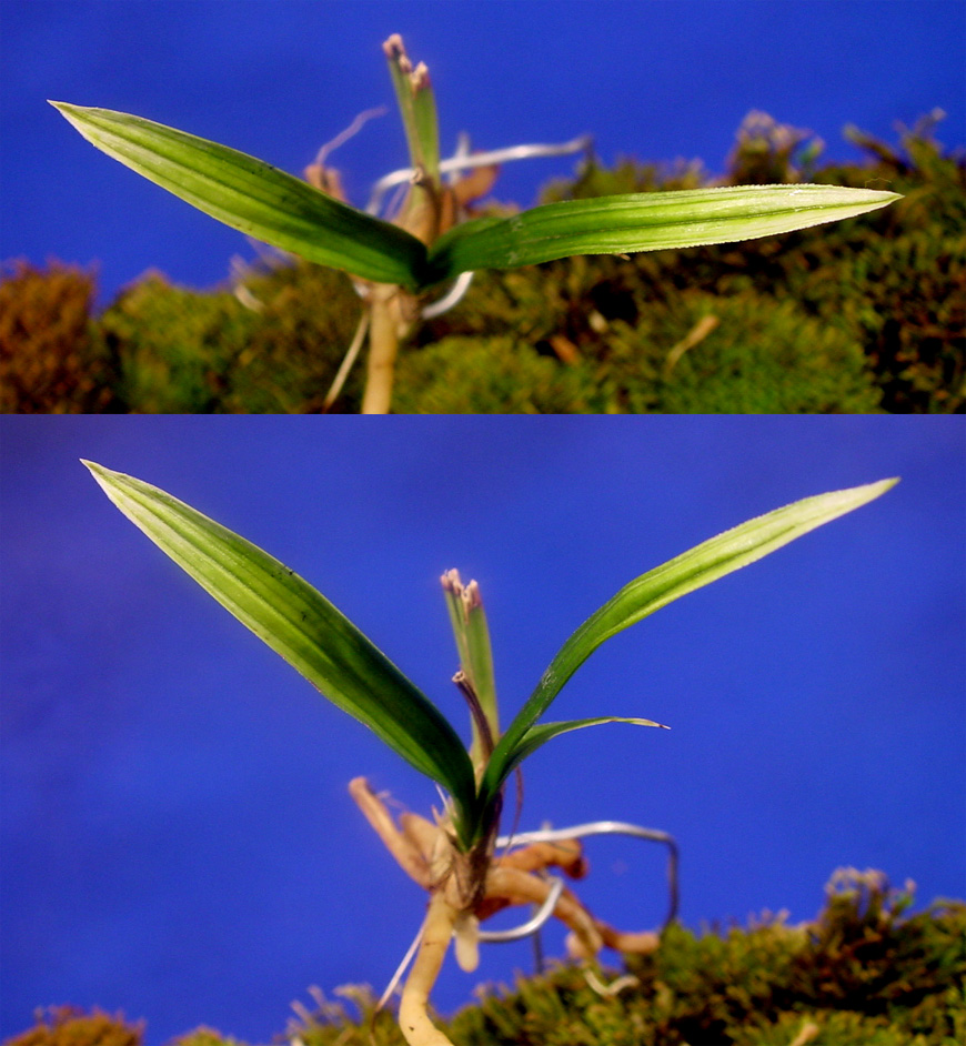 ������ ū������ �� �� �ֽ��ϴ�.