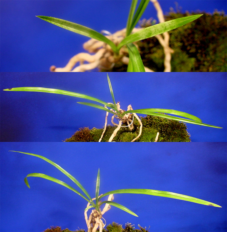 ������ ū������ �� �� �ֽ��ϴ�.