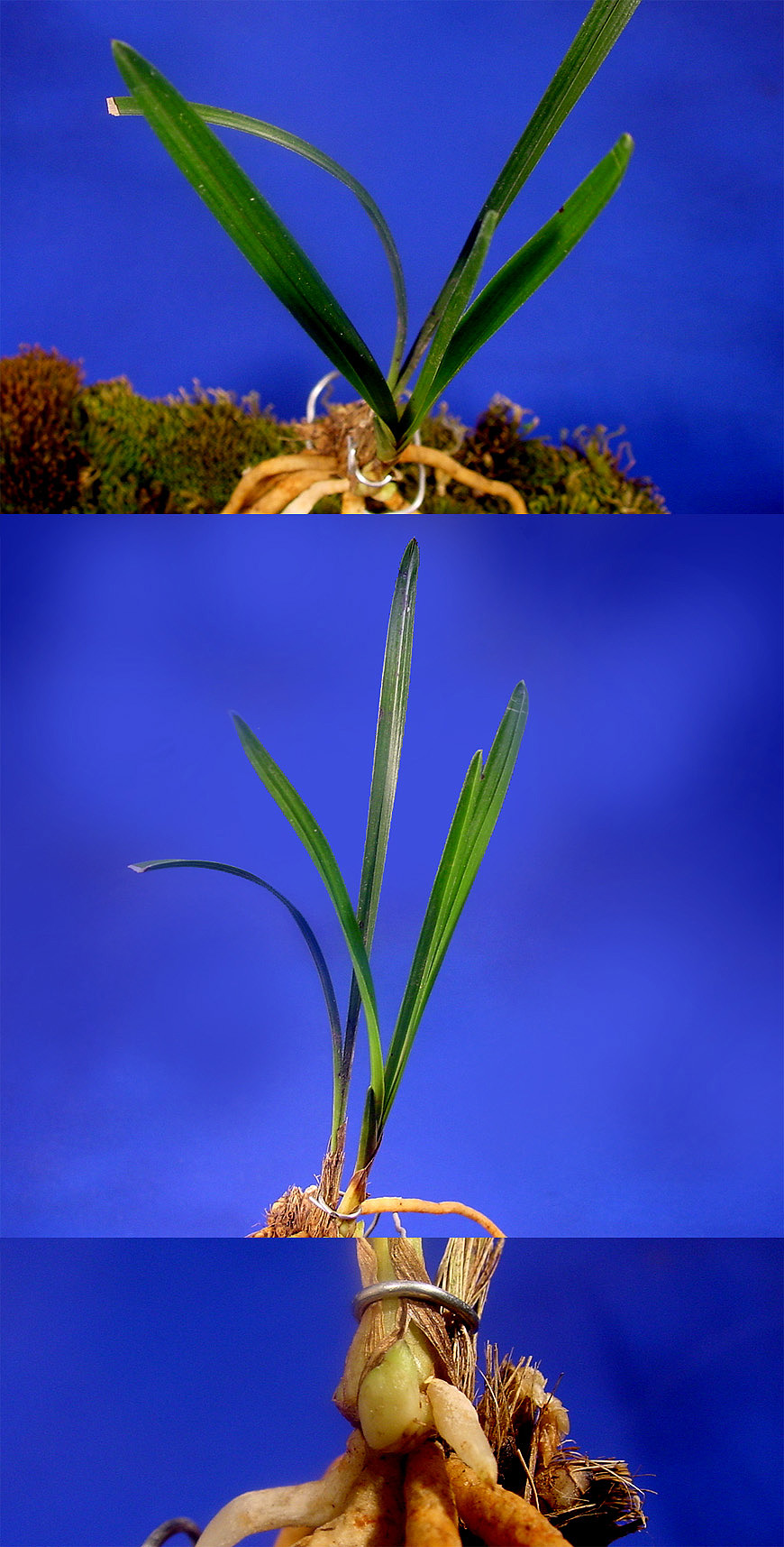 ������ ū������ �� �� �ֽ��ϴ�.