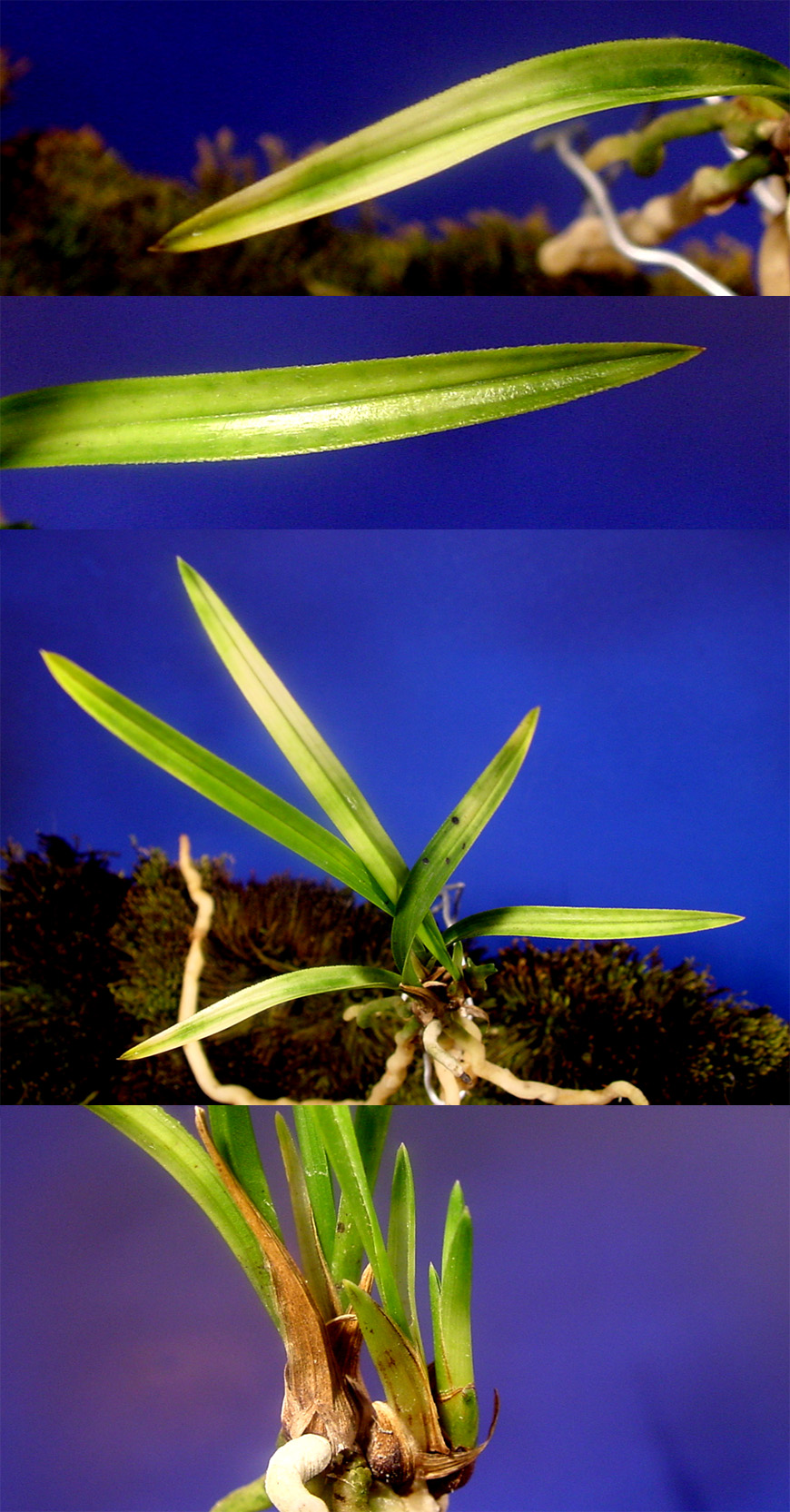 ������ ū������ �� �� �ֽ��ϴ�.