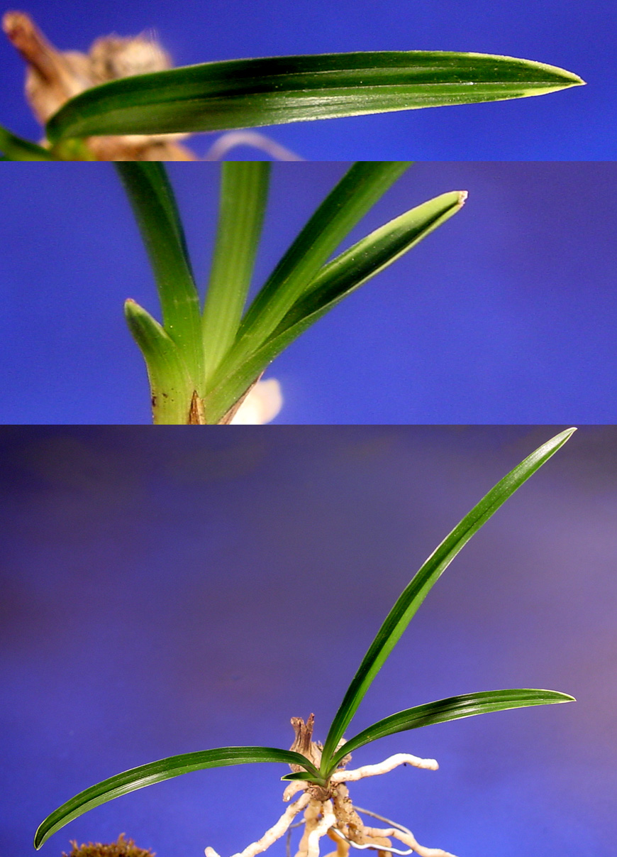 ������ ū������ �� �� �ֽ��ϴ�.