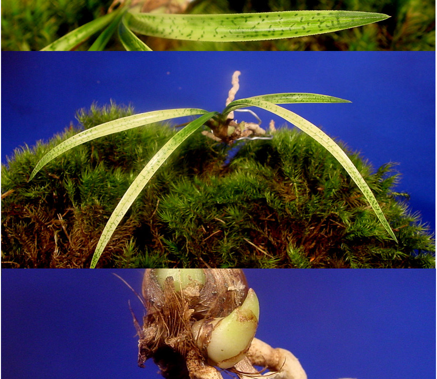 ������ ū������ �� �� �ֽ��ϴ�.