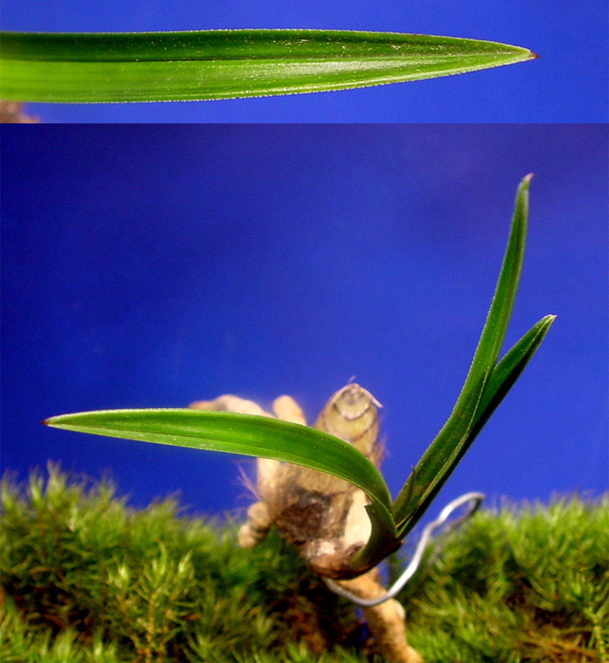 ������ ū������ �� �� �ֽ��ϴ�.