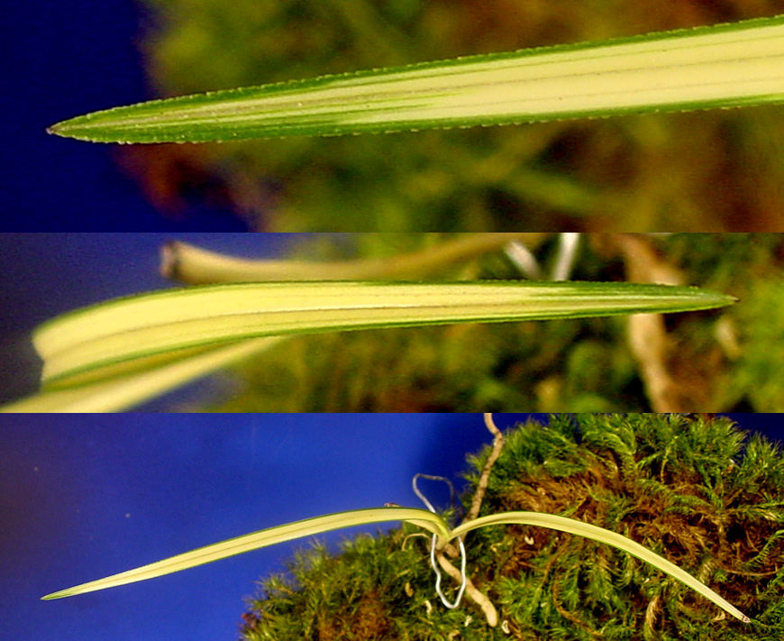 ������ ū������ �� �� �ֽ��ϴ�.