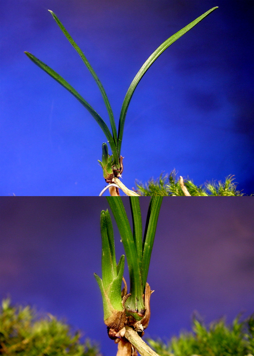 ������ ū������ �� �� �ֽ��ϴ�.