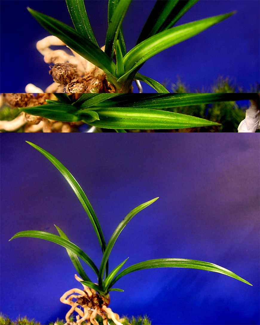 ������ ū������ �� �� �ֽ��ϴ�.