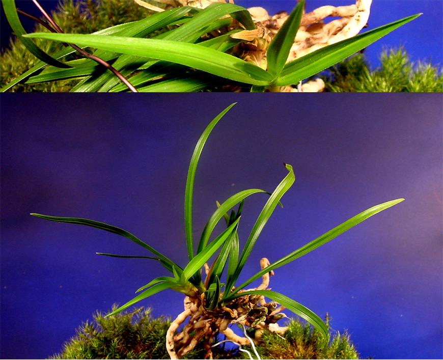 ������ ū������ �� �� �ֽ��ϴ�.