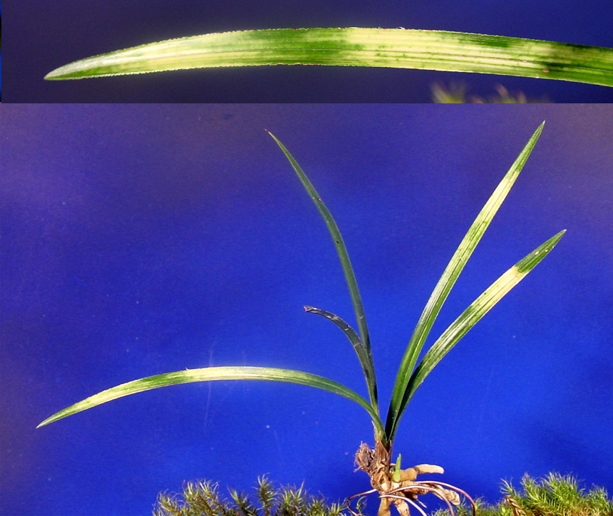 ������ ū������ �� �� �ֽ��ϴ�.