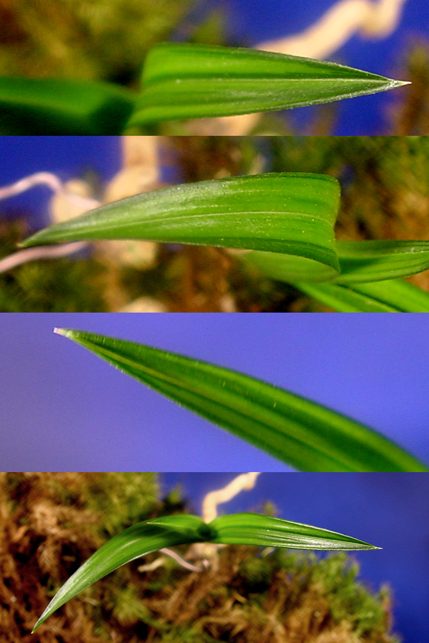 ������ ū������ �� �� �ֽ��ϴ�.