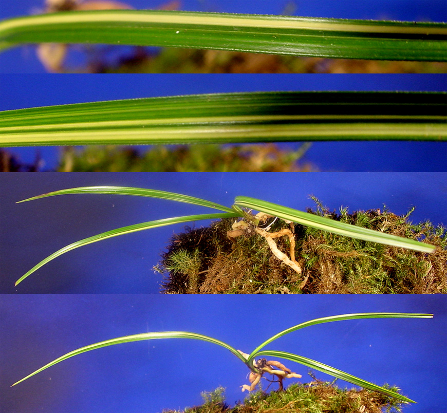 ������ ū������ �� �� �ֽ��ϴ�.