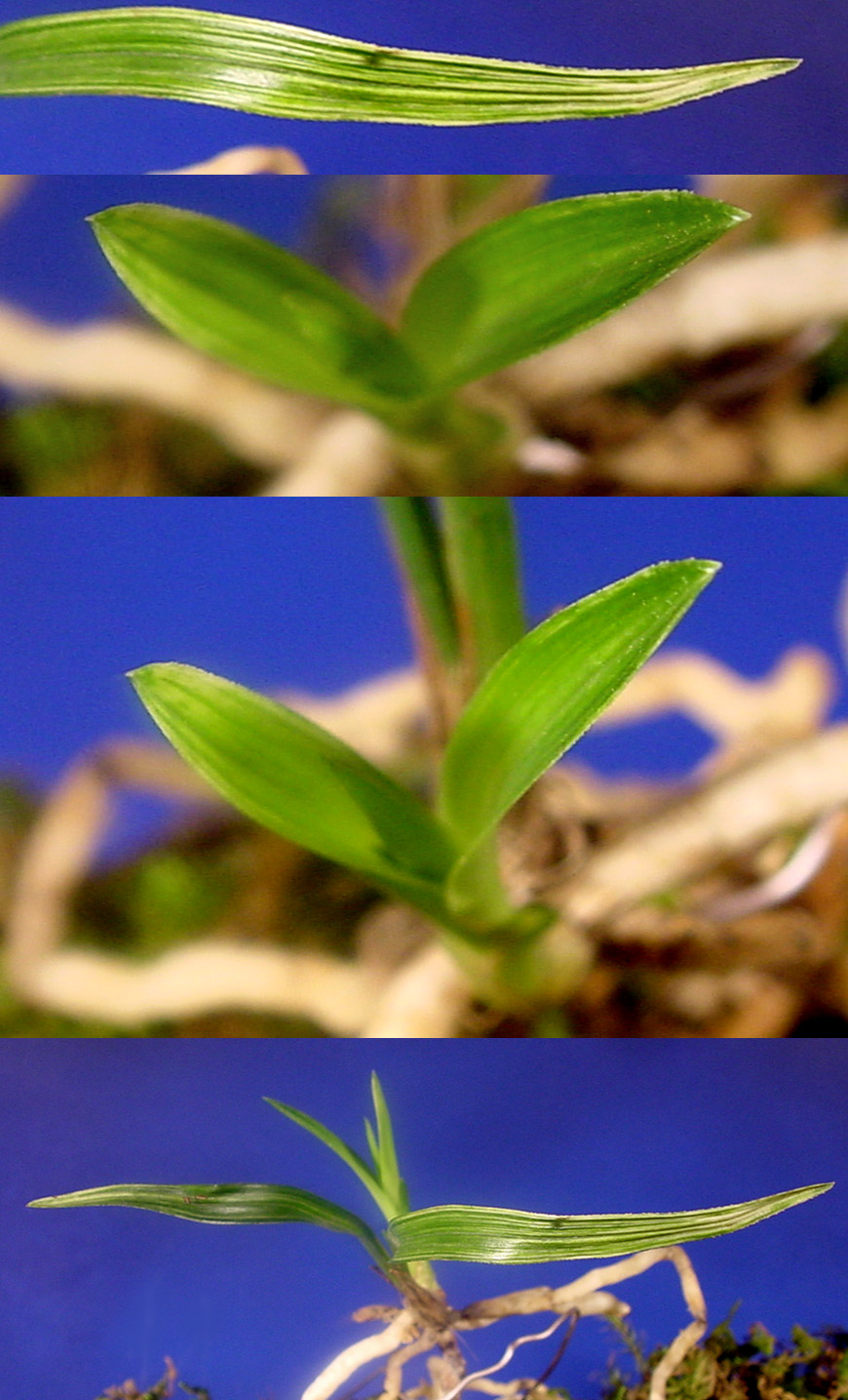 ������ ū������ �� �� �ֽ��ϴ�.