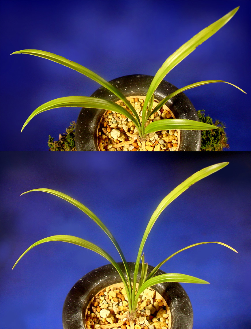 ������ ū������ �� �� �ֽ��ϴ�.