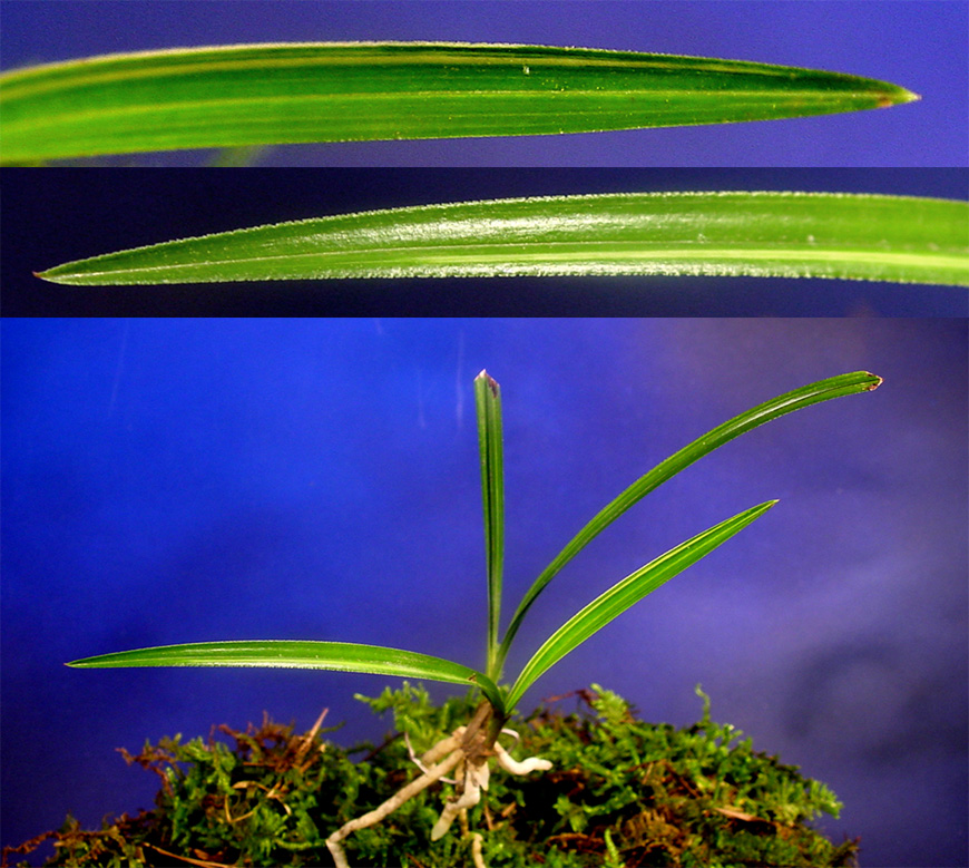 ������ ū������ �� �� �ֽ��ϴ�.