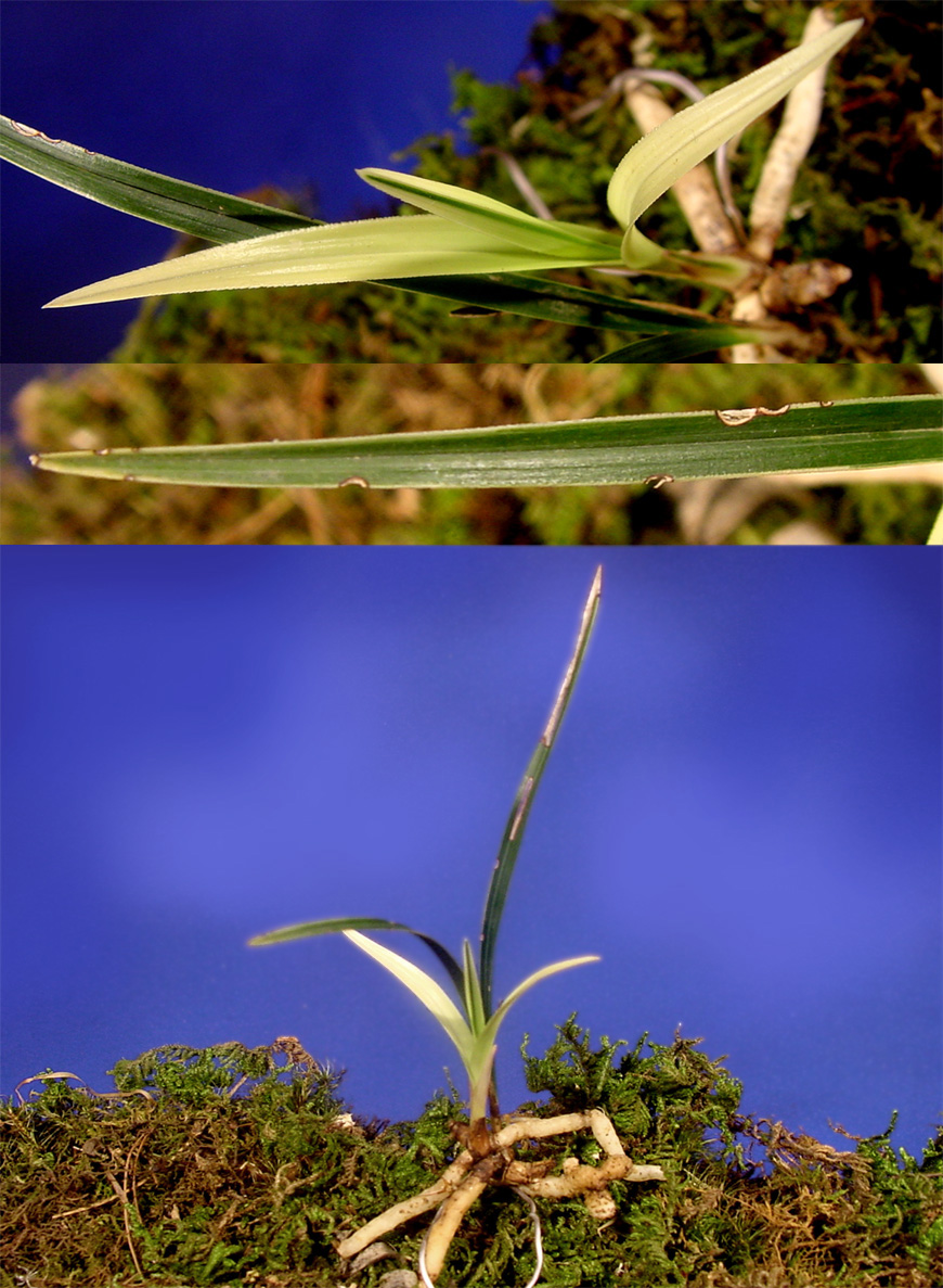 ������ ū������ �� �� �ֽ��ϴ�.